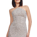 Anica Dress