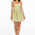 Sasha Dress
