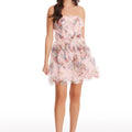 Sasha Dress